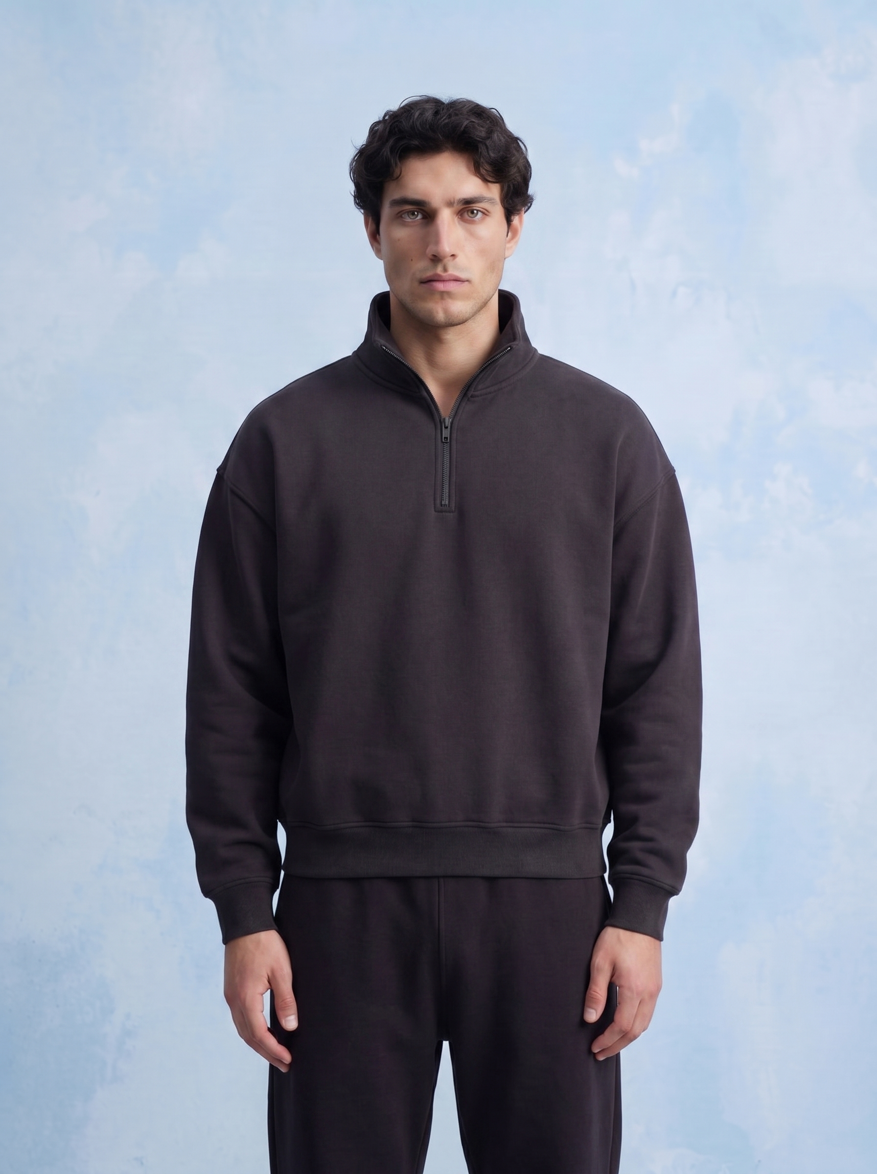 QUARTER ZIP - Shield of wing