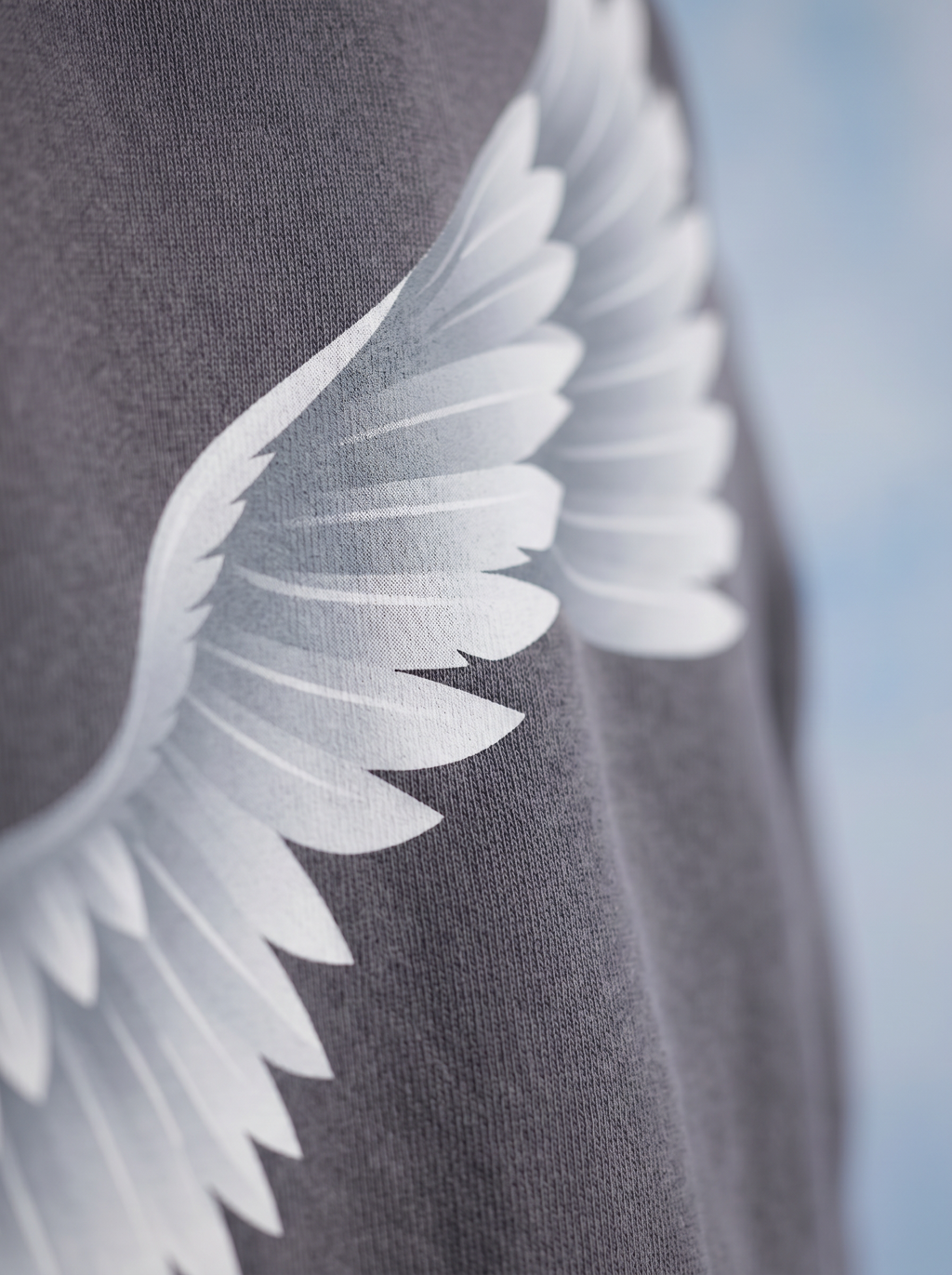 OVERSIZED HOODIE - Shield of wing