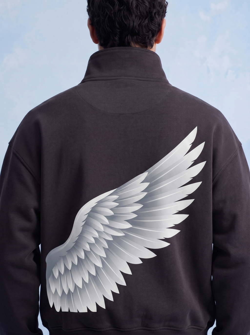 QUARTER ZIP - Shield of wing