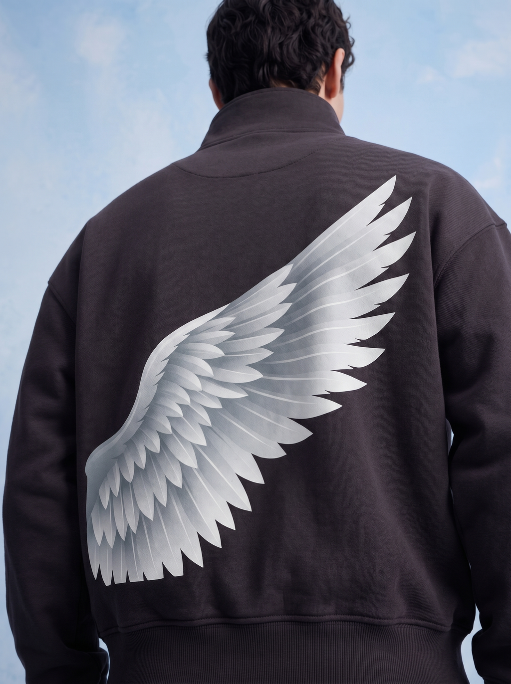 QUARTER ZIP - Shield of wing