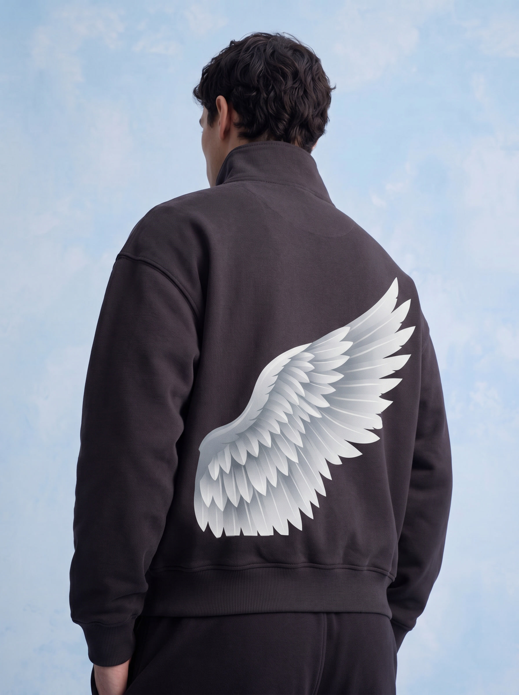 QUARTER ZIP - Shield of wing
