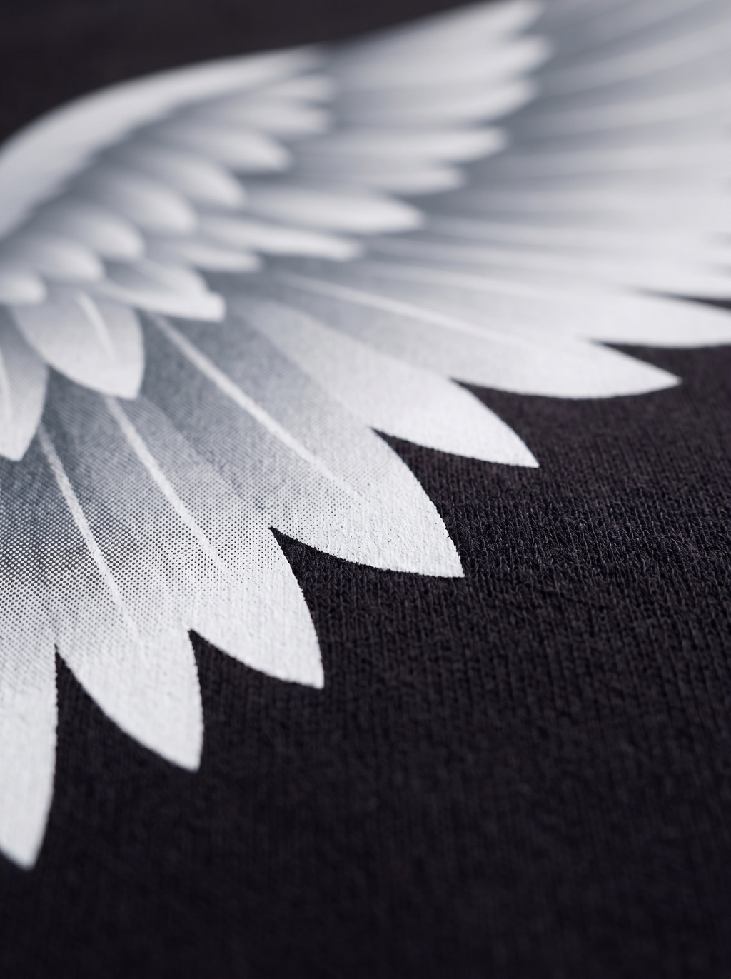 SWEATSHIRT - Shield of wing