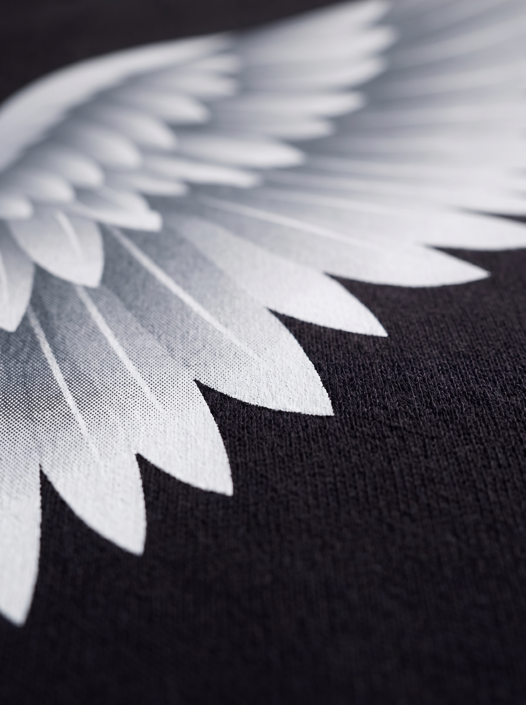 SWEATSHIRT - Shield of wing
