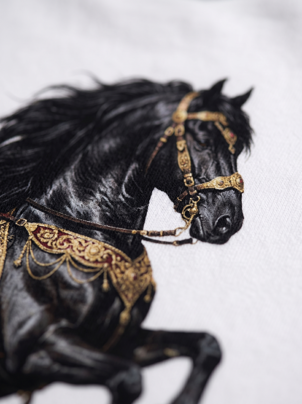 SWEATSHIRT - Stallion rules