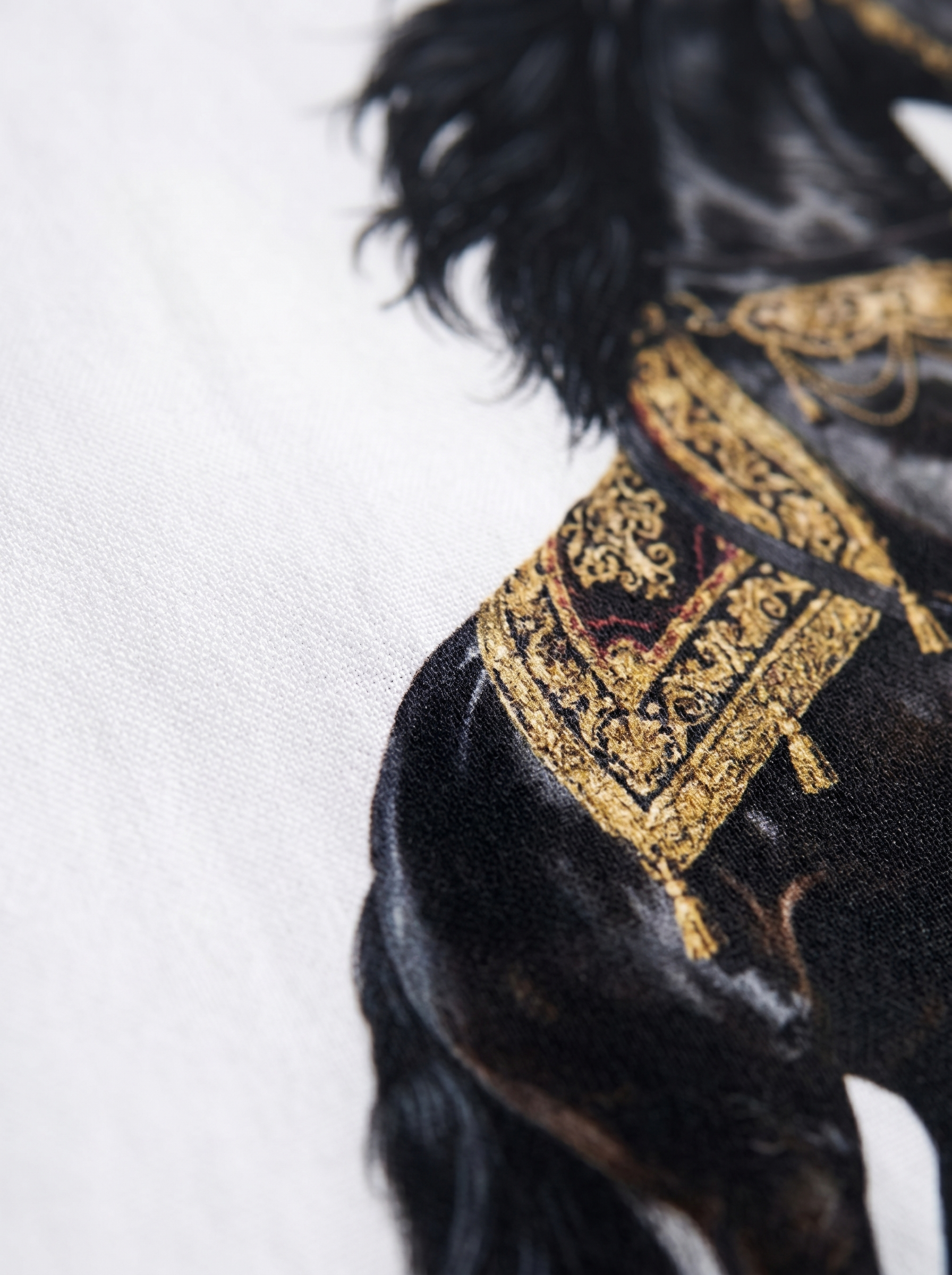 OXFORD SHIRT - Stallion rules