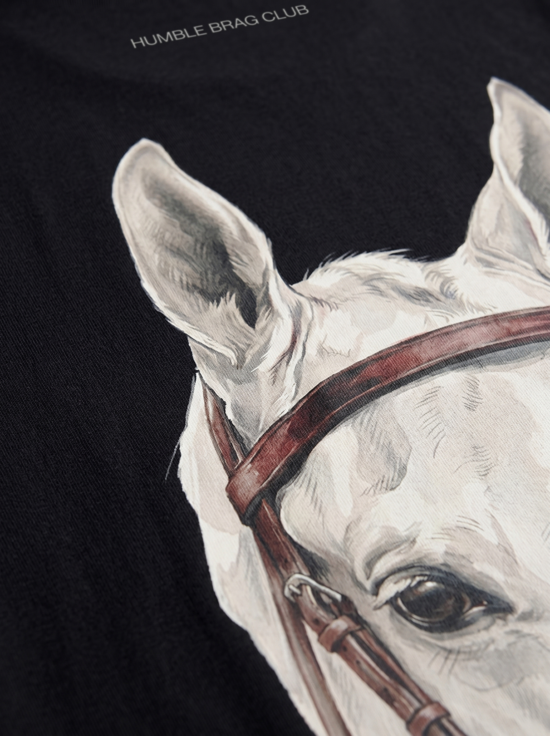 OVERSIZED TEE - Stable Ghost